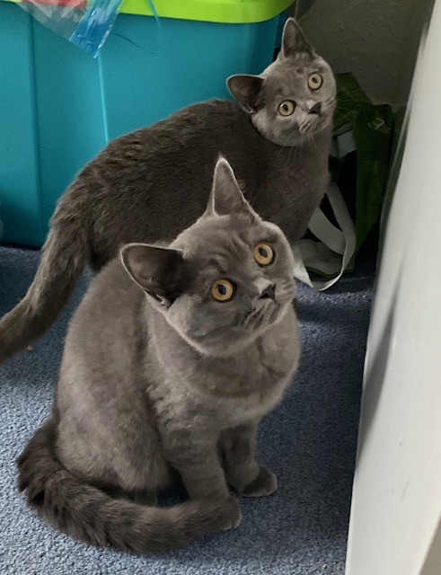 An image of Cindy and Christy